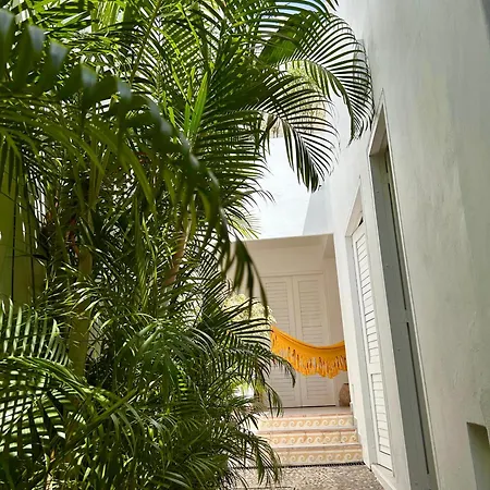 Casa Vella - Amurallada *